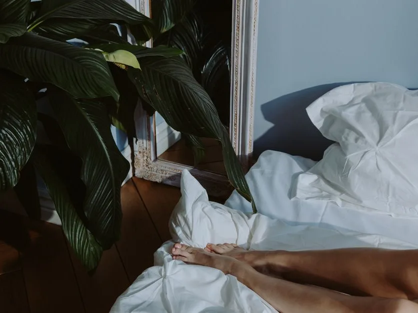 Chambre calme au linge clair avec une plante verte